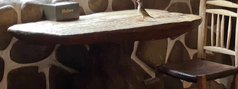 Il discorso tipico….